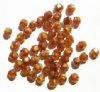 50 6mm Faceted Caramel Tortoise Firepolish Beads